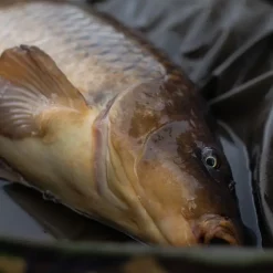 Trakker DPM Crib, Ovale Abhakmatte -Trakker Verkäufe trakker dpm oval crib in use 5